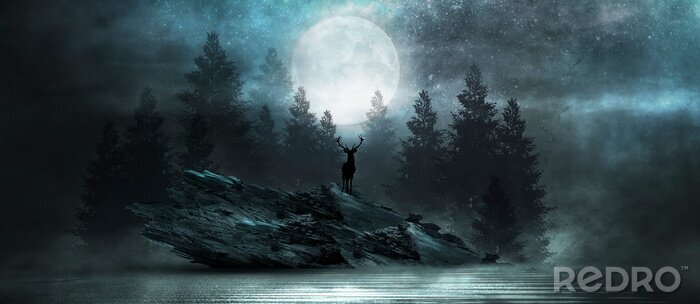 Poster  Forêt fantastique la nuit