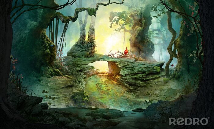 Poster  Forêt sombre et brumeuse de fantaisie