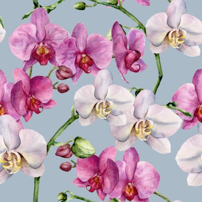 Forme d'aquarelle avec orchidées blanches et roses. Ornement botanique floral peint à la main. Pour la conception, le tissu ou l'impression.