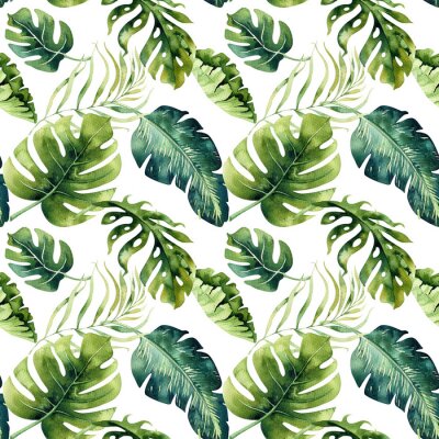 Forme d'aquarelle sans couture de feuilles tropicales, jungle dense. Ha