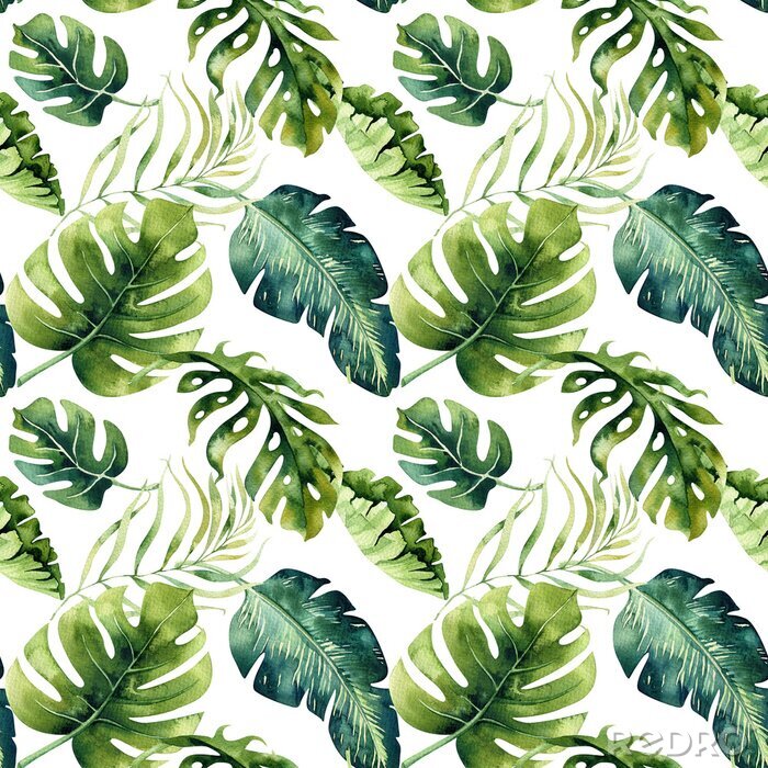 Poster  Forme d'aquarelle sans couture de feuilles tropicales, jungle dense. Ha