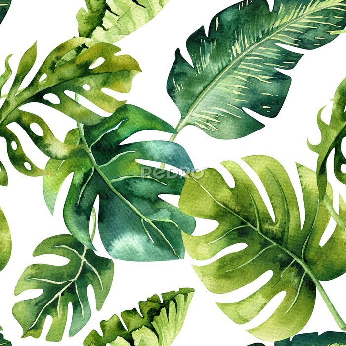 Poster  Forme d'aquarelle sans couture de feuilles tropicales, jungle dense. Ha