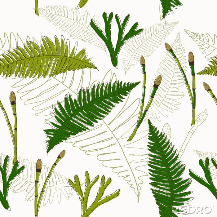 Poster  Fougères vertes comme thème écologique