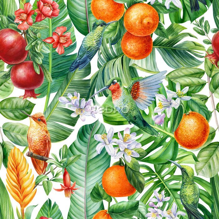 Poster  Fourrés de fruits