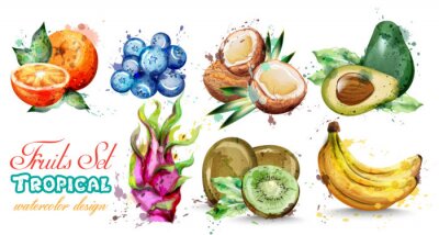 Fruits aquarelle définie la collection Vector. Composition de fruits d'été Kiwi, banane, myrtille et bleuets