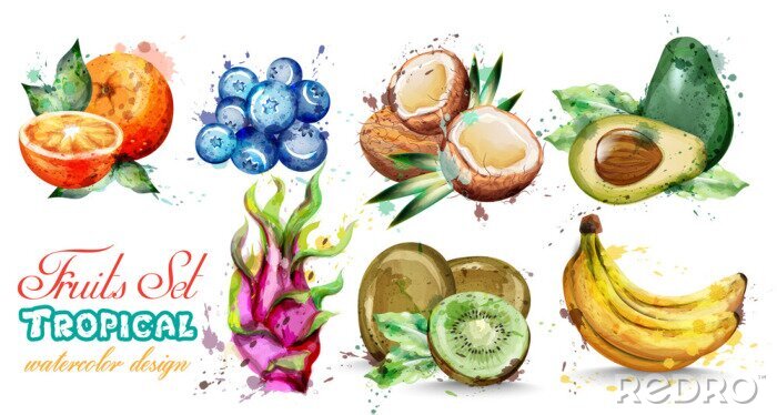 Poster  Fruits aquarelle définie la collection Vector. Composition de fruits d'été Kiwi, banane, myrtille et bleuets