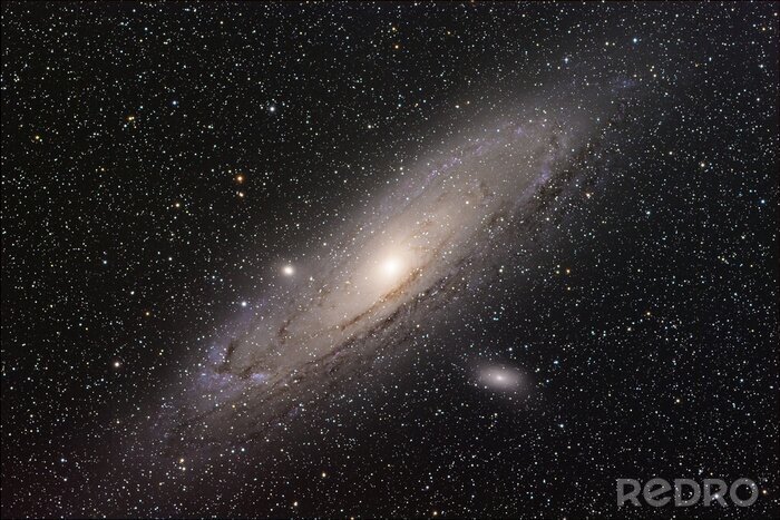 Poster  Galaxie d'Andromède dans le cosmos étoilé