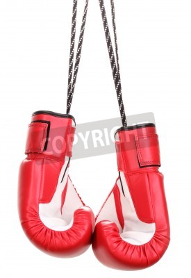 Poster  Gants de boxe rouge et blanc