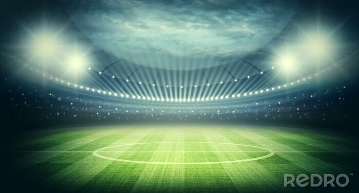 Poster  Gazon éclairé par les projecteurs