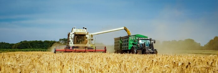 Poster  Getreideernte - Mähdrescher und Landtechnik für den Getreideabtransport, Bannière