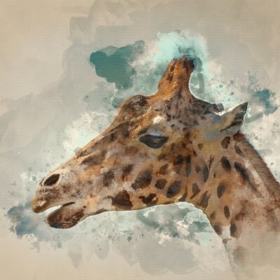 Girafe aquarelle sur fond bleu