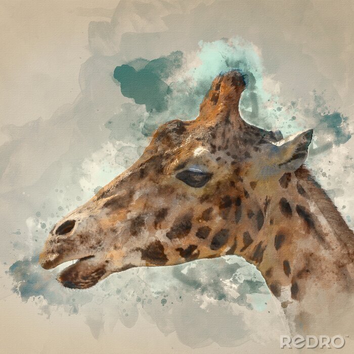 Poster  Girafe aquarelle sur fond bleu