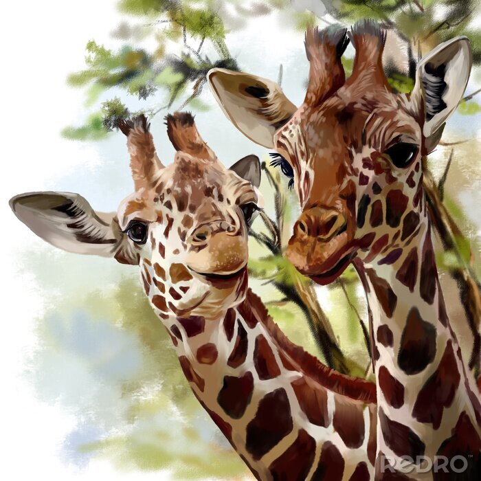 Poster  Girafes aquarelles délicates