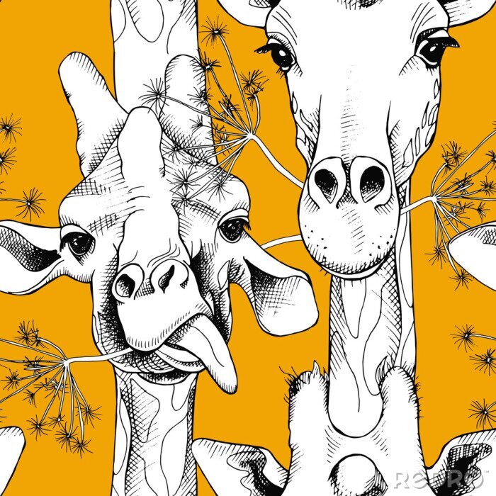 Poster  Girafes noires et blanches sur fond jaune
