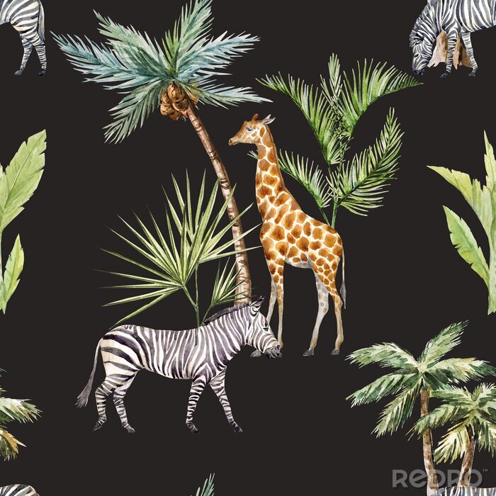 Poster  Girafes zébrées et palmiers
