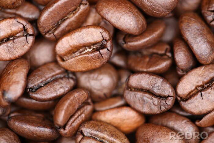 Poster  Grains de café de grains de café de fond