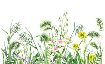 Papier peint  Graminées et fleurs des champs