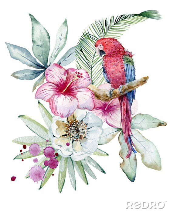 Poster  Graphiques avec des plantes tropicales et un perroquet