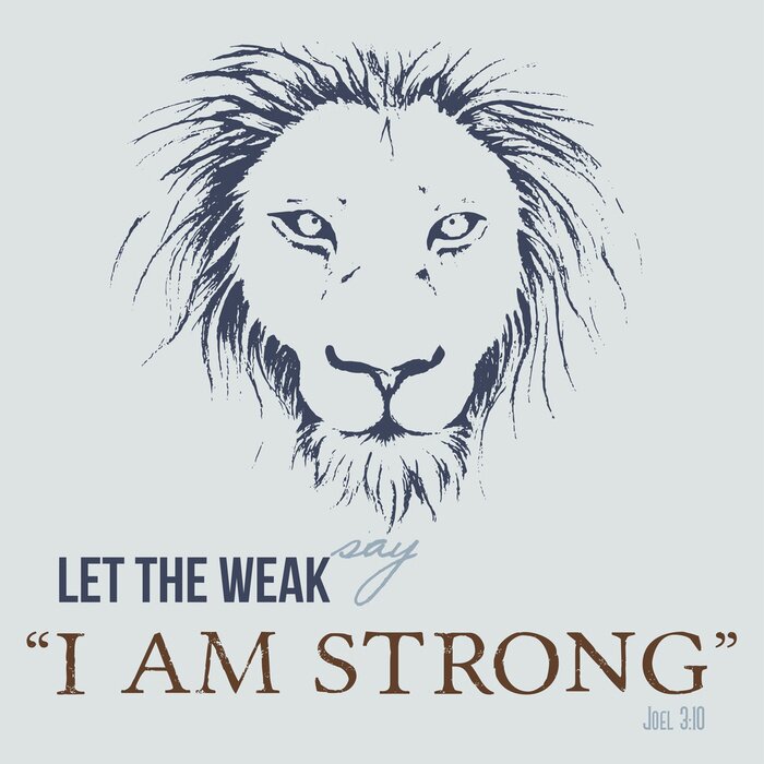 Poster  Graphiques de lion et accent typographique