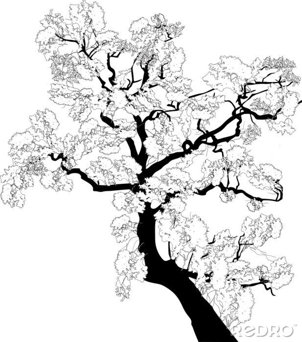 Poster  Graphisme noir et blanc d'une branche d'arbre