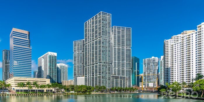 Poster  Gratte-ciel et palmiers