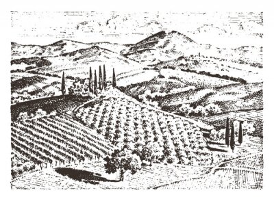 Poster  Gravure historique de la Toscane