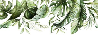 Papier peint  Green tropical leaves on white background. Watercolor hand painted seamless border. Floral tropic illustration. Jungle foliage pattern.