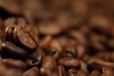 Gros plan sur un grain de café