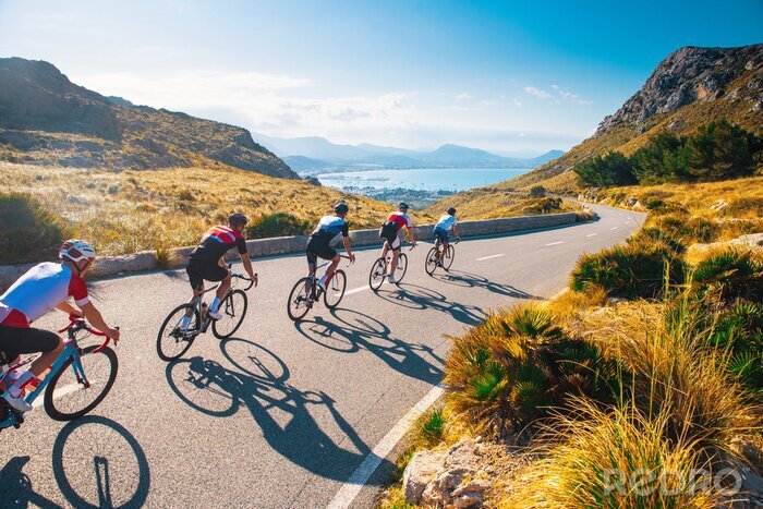 Poster  Group of cyclist ride together on road bicycles in beautiful nature. Sunset light, sea in background.