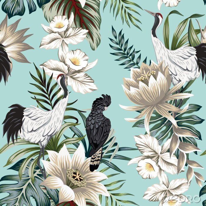 Poster  Grues et perroquets parmi les fleurs tropicales blanches