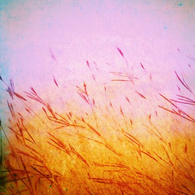 Grunge champ d'herbe sur la texture de la toile