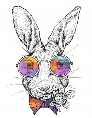 Hand drawn hipster style portrait of Funny Rabbit in glasses. Vector illustration isolated on white
