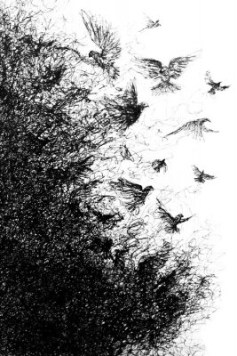 Poster  Handmade symbolic pen drawing of birds disintegrating from a group to individuals and into particles