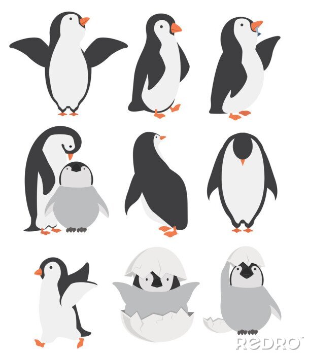 Poster  Happy penguin and chicks characters in different poses set