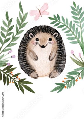 Poster  Hérisson parmi les feuilles (aquarelle)