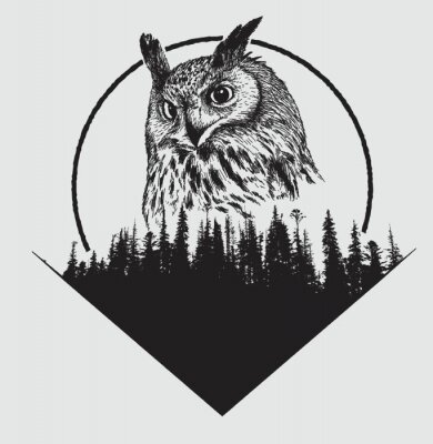 Poster  Hibou et forêt monochromes