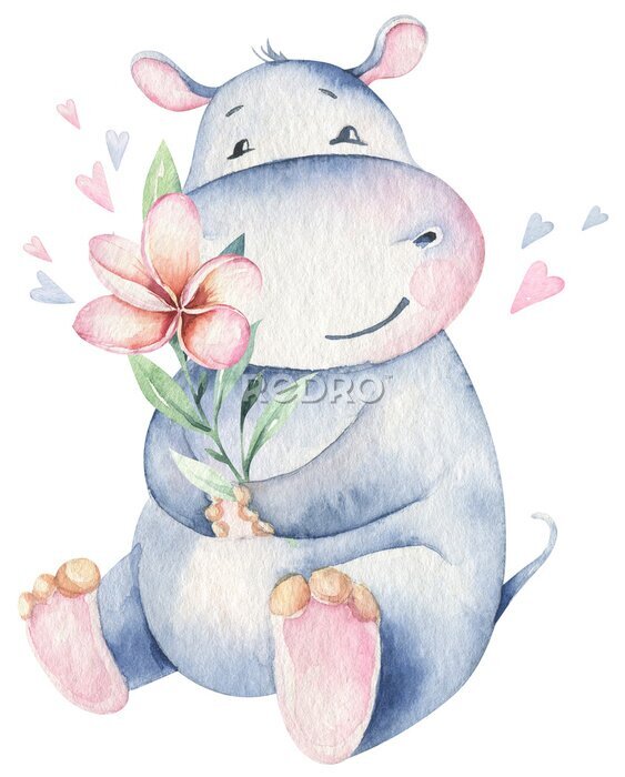 Poster  Hippopotame tenant une fleur