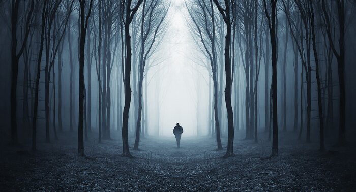 Poster  homme dans une forêt sombre