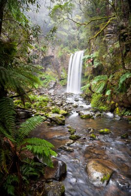 Poster  Hopetoun Falls, a secluded waterfall in the Otway Ranges, Australia