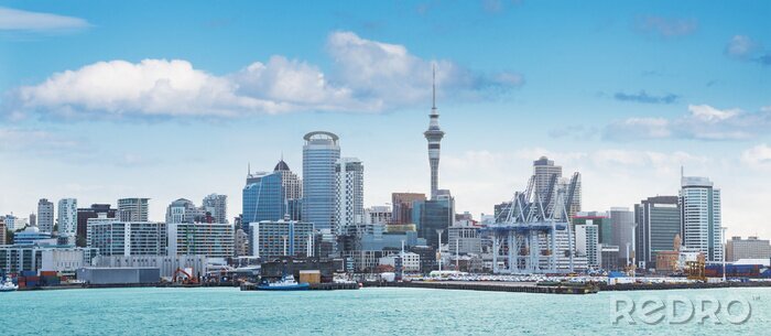 Poster  Horizon et gratte-ciel d'Auckland