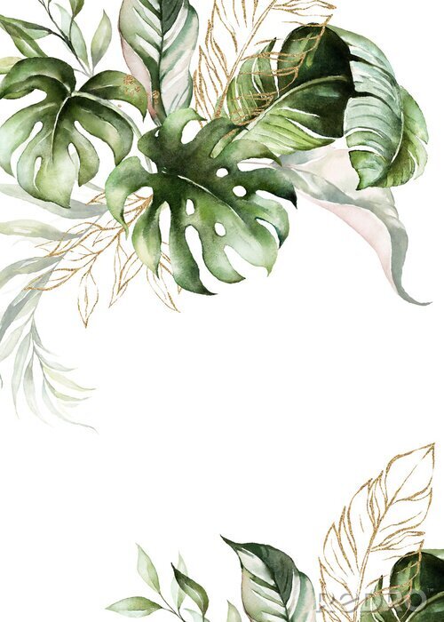 Poster  Illustration aquarelle inspirée de plantes exotiques