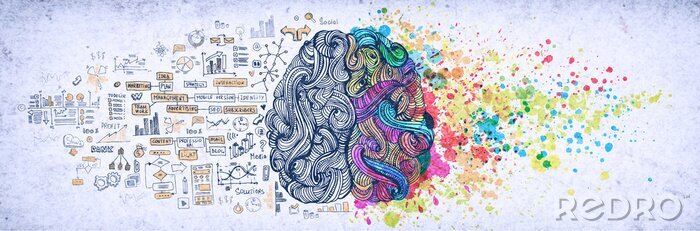 Poster  Illustration colorée avec un cerveau
