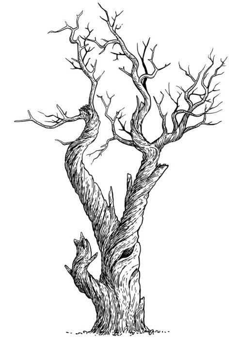Poster  Illustration d'un arbre mort dans un style de croquis