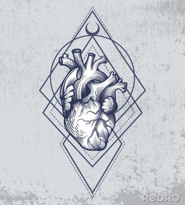 Poster  Illustration d'un cœur humain