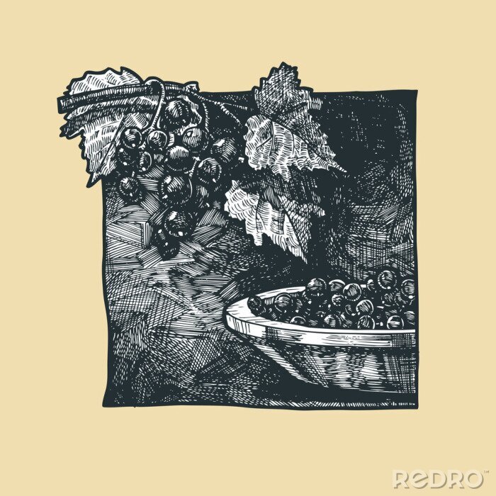 Poster  Illustration de cassis