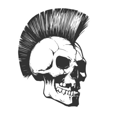 Poster  Illustration de crâne punk