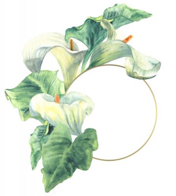 Poster  Illustration de plante romantique
