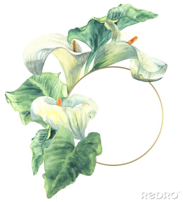 Poster  Illustration de plante romantique