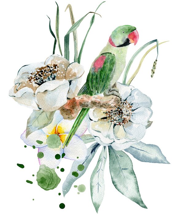 Poster  Illustration exotique dans un style aquarelle