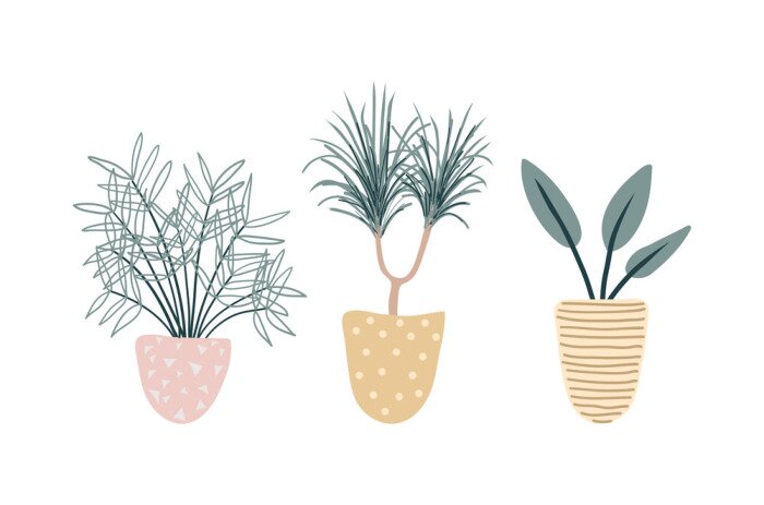 Poster  Illustration minimaliste de trois plantes en pots